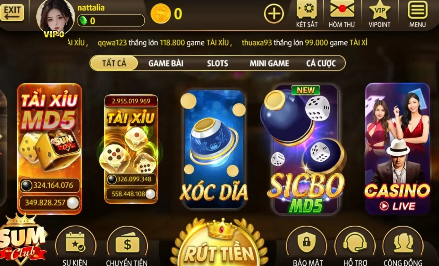 Ý nghĩa ra đời của domain Sumclub 10 chính thức